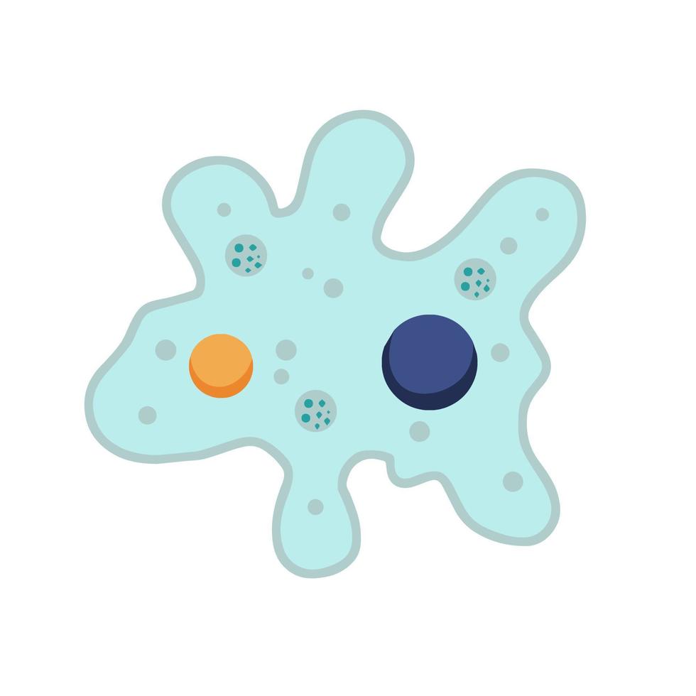 Amoeba cell. Small unicellular animal. Virus and bacteria. Education and science. Flat cartoon illustration vector