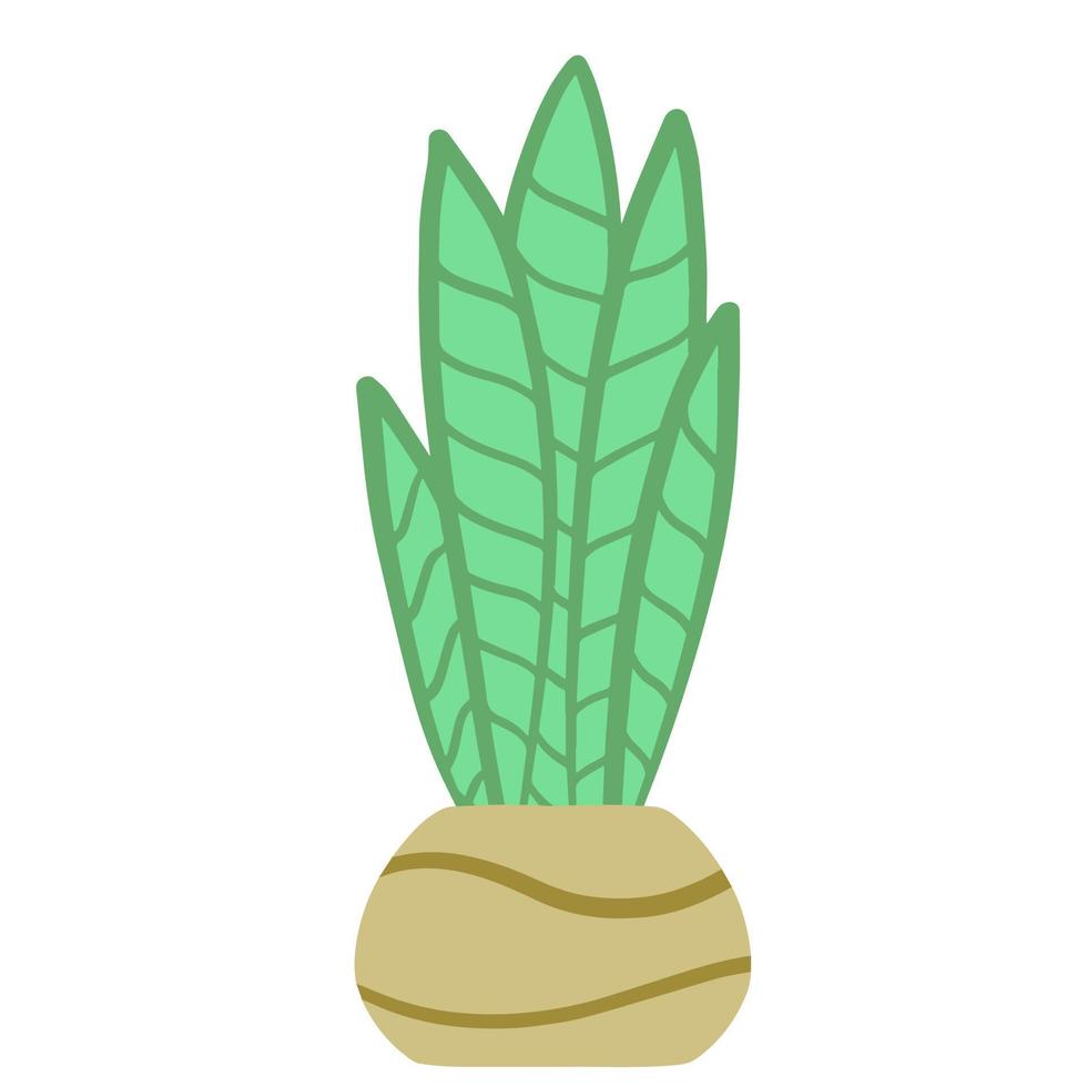 Potted plant. Homemade Green leaves of houseplant. Gardening and botany. Flat illustration. Brown pot and House decoration vector