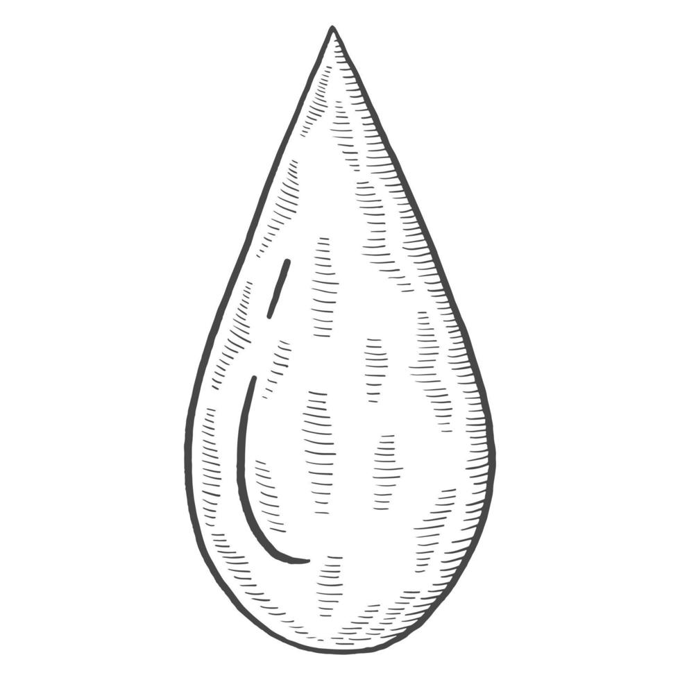 water blood drop charity humanitarian international day isolated doodle hand drawn sketch with outline style vector