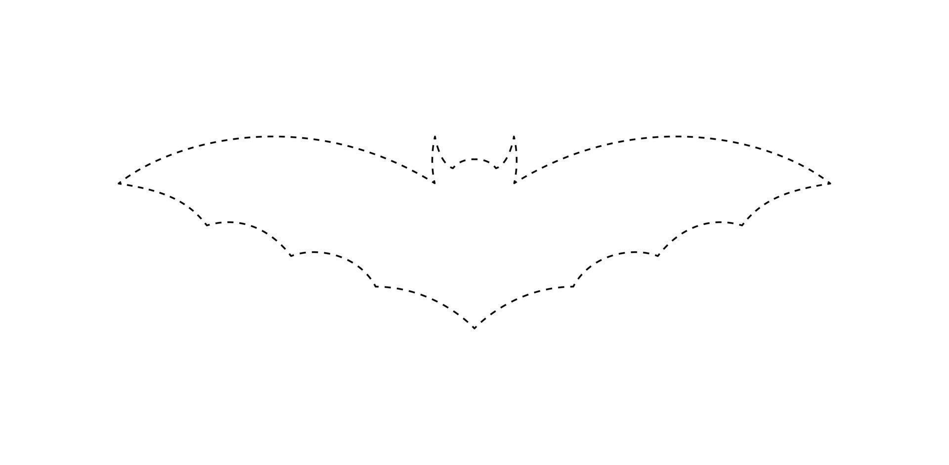 Bat tracing worksheet for kids vector