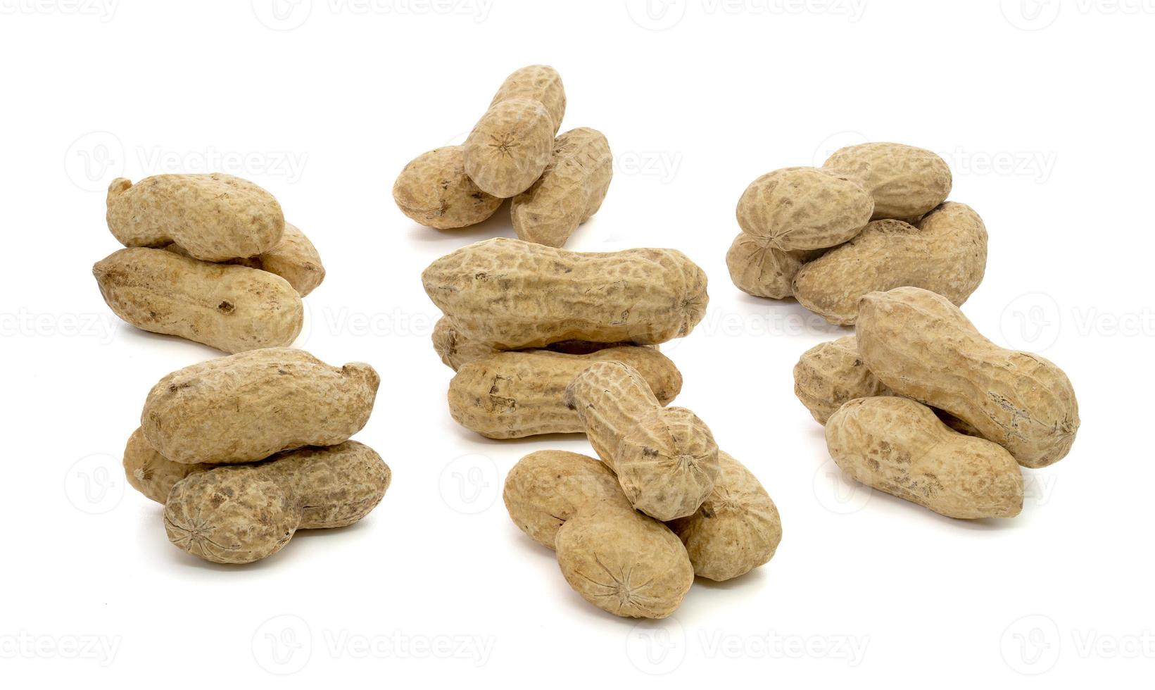 group dried peanuts isolated on white background photo