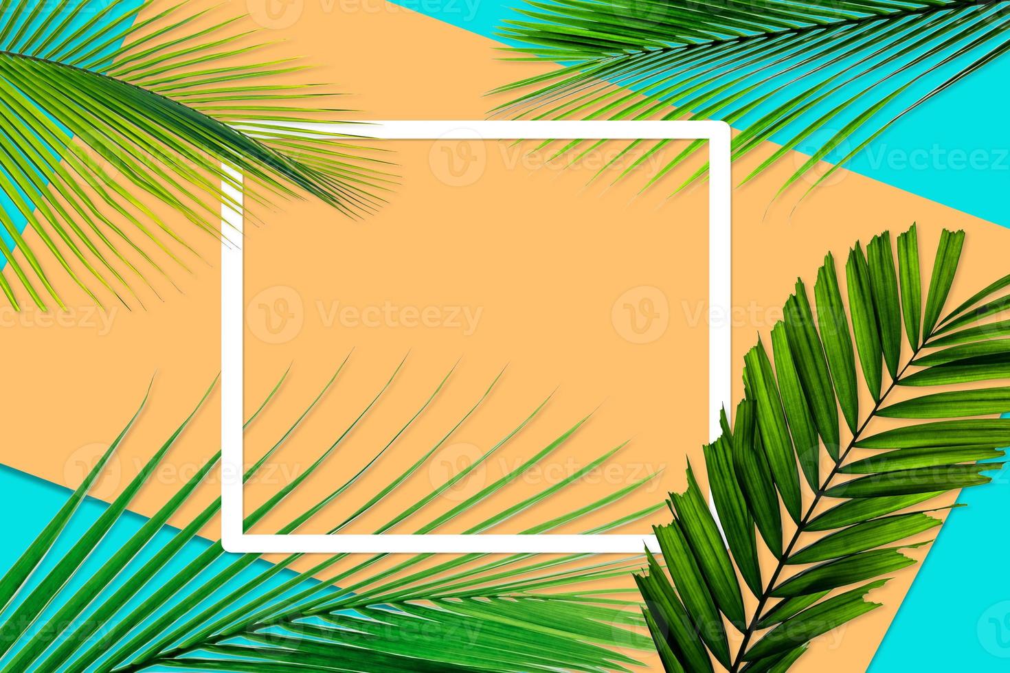 Green palm leaves pattern for nature concept,tropical leaf on orange and teal paper background photo