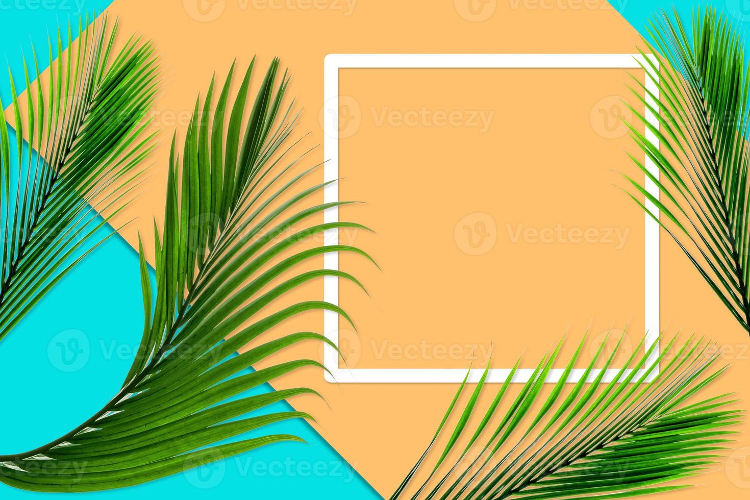 Green palm leaves pattern for nature concept,tropical leaf on orange and teal paper background photo
