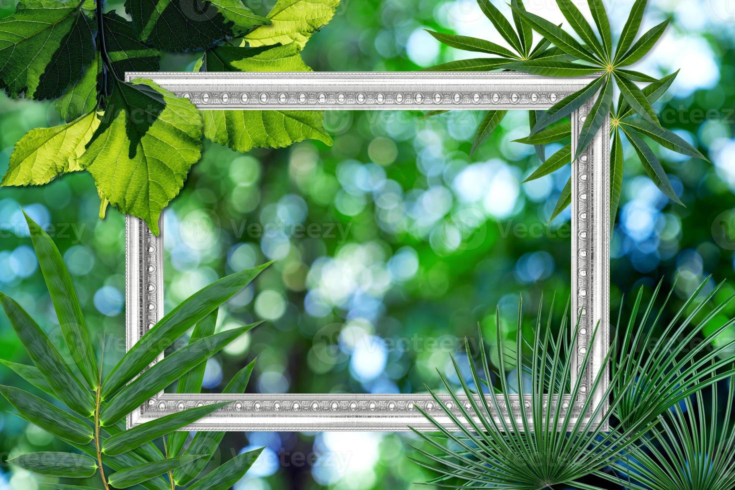 Green leaves pattern with antique white picture frame on natural bokeh blurred background, autumn plant leaf photo