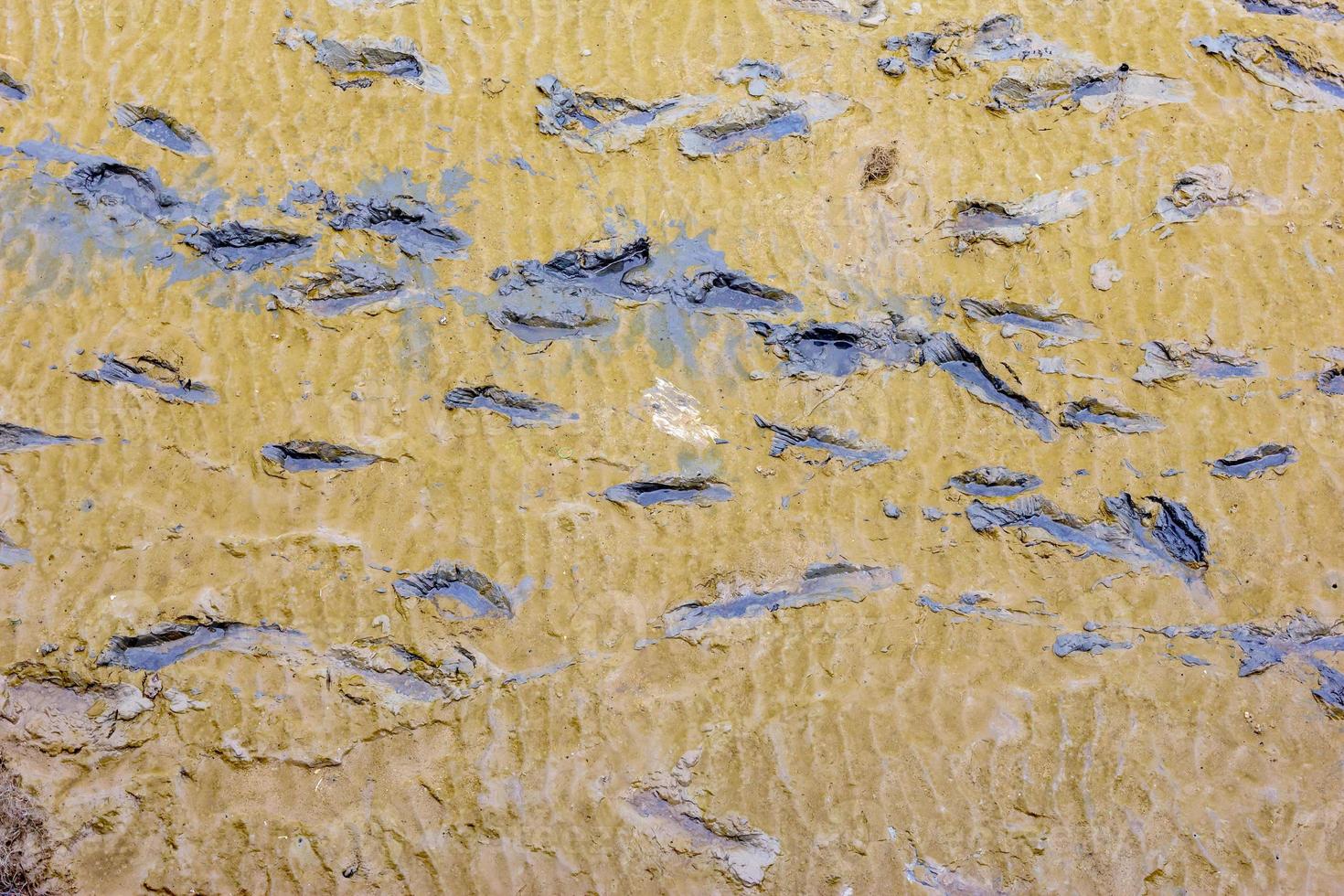 Foot prints on a clay beach photo