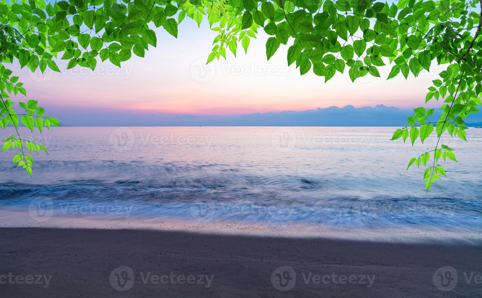 summer sea with green leaves pattern at sunset and copy space,sky relaxing concept,beautiful tropical background for travel landscape photo