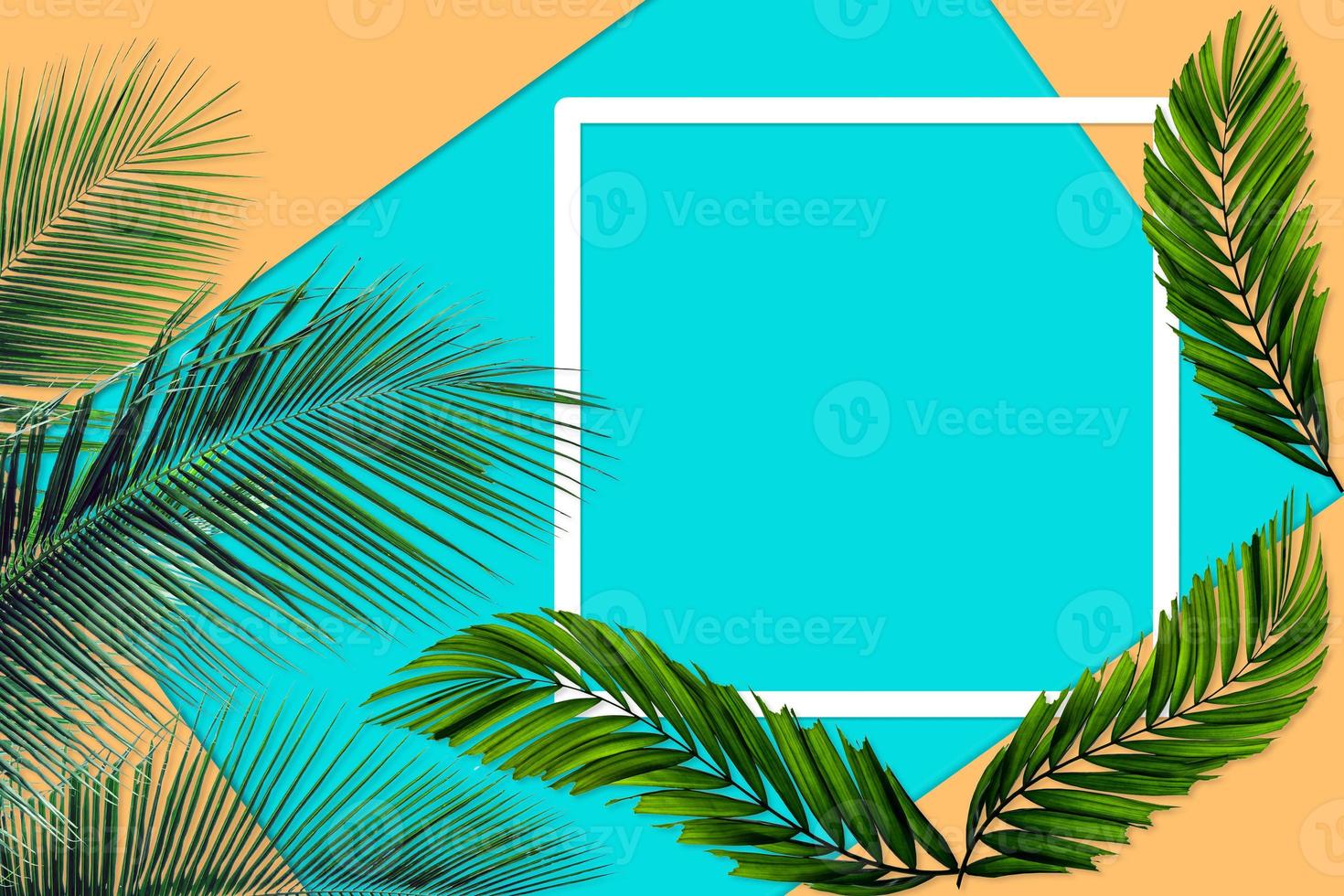 Green palm leaves pattern for nature concept,tropical leaf on orange and teal paper background photo