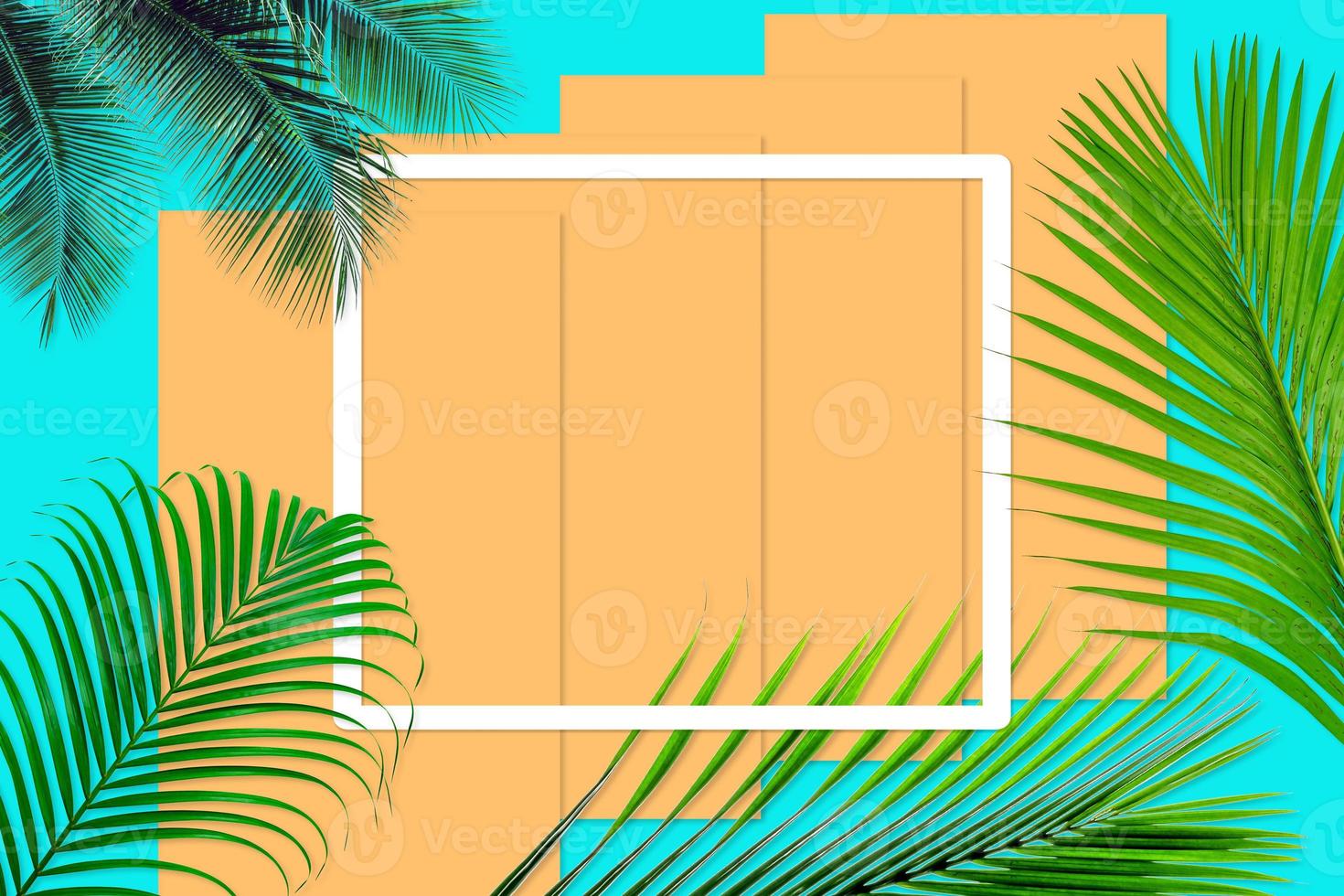 Green palm leaves pattern for nature concept,tropical leaf on orange and teal paper background photo