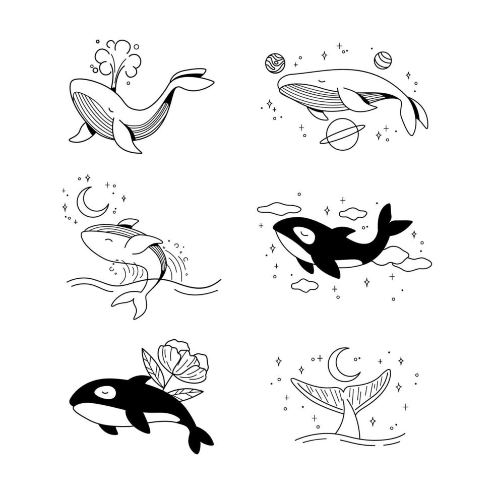 Black and White Hand Drawn Whale vector