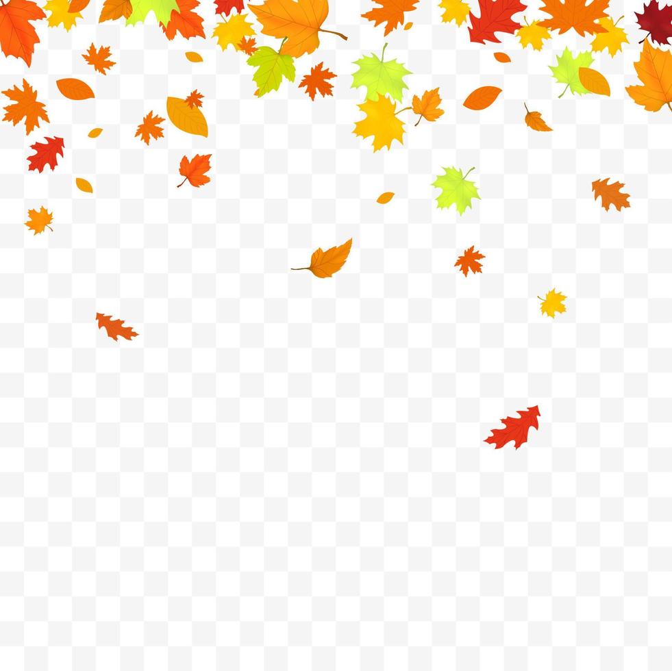 Autumn Falling Leaves Isolated On White Background vector