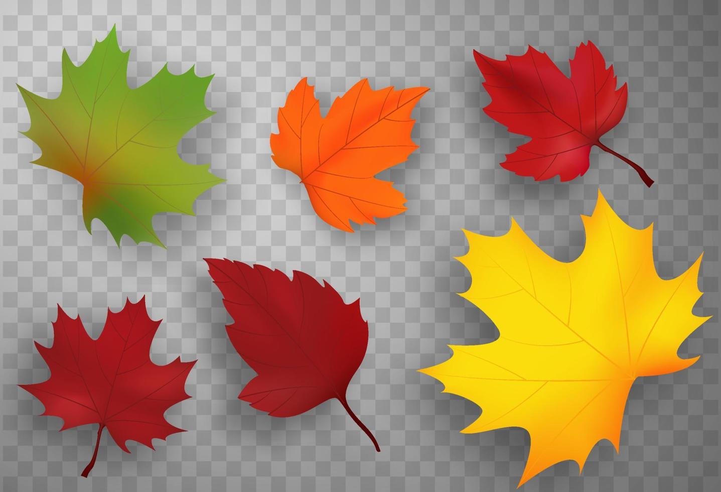 Autumn Falling Leaves Isolated On White Background vector