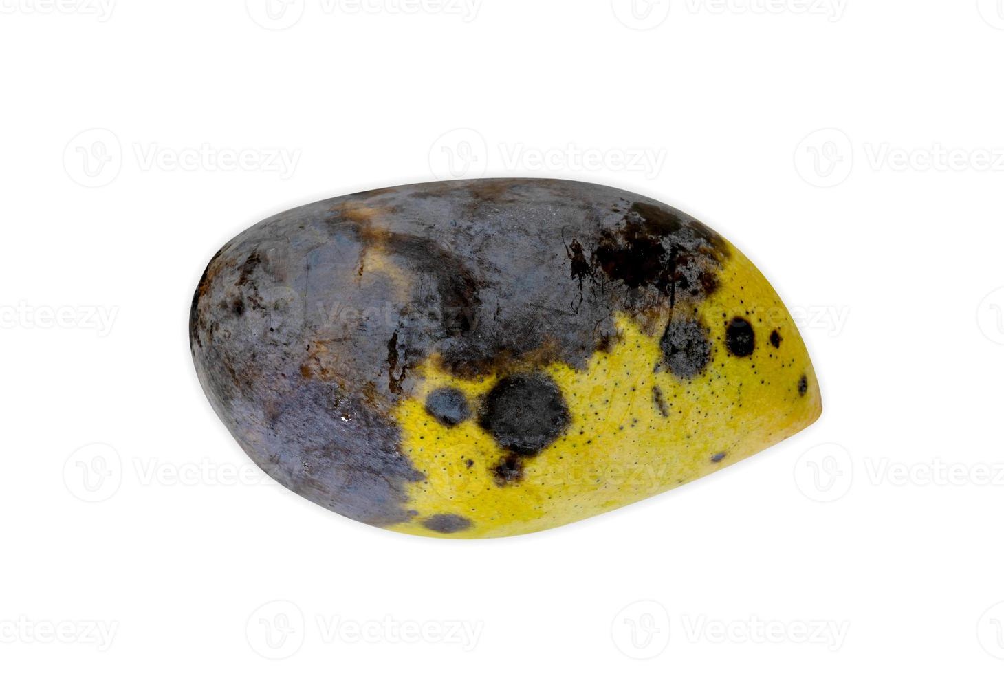 Rotten mango fruite isolated on a white background, Stock image