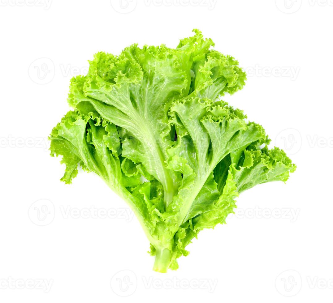 Lettuce leaf isolated on white background ,Green leaves pattern ,Salad ingredient photo