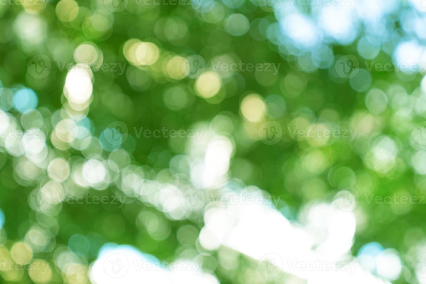 natural green bokeh abstract background,blurred textured photo