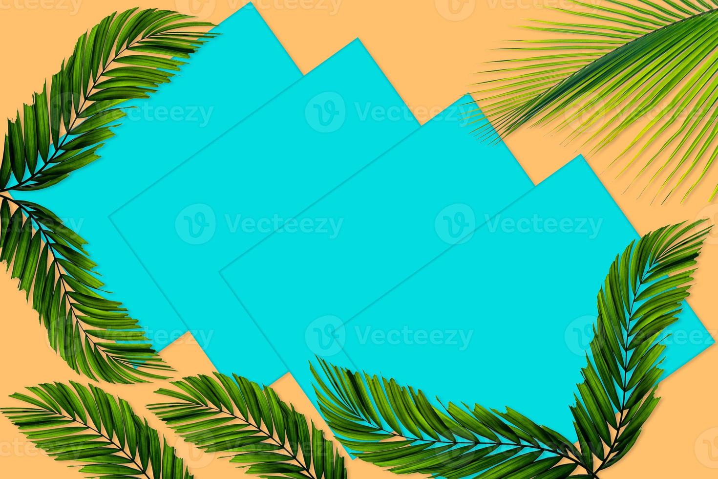 Green palm leaves pattern for nature concept,tropical leaf on orange and teal paper background photo