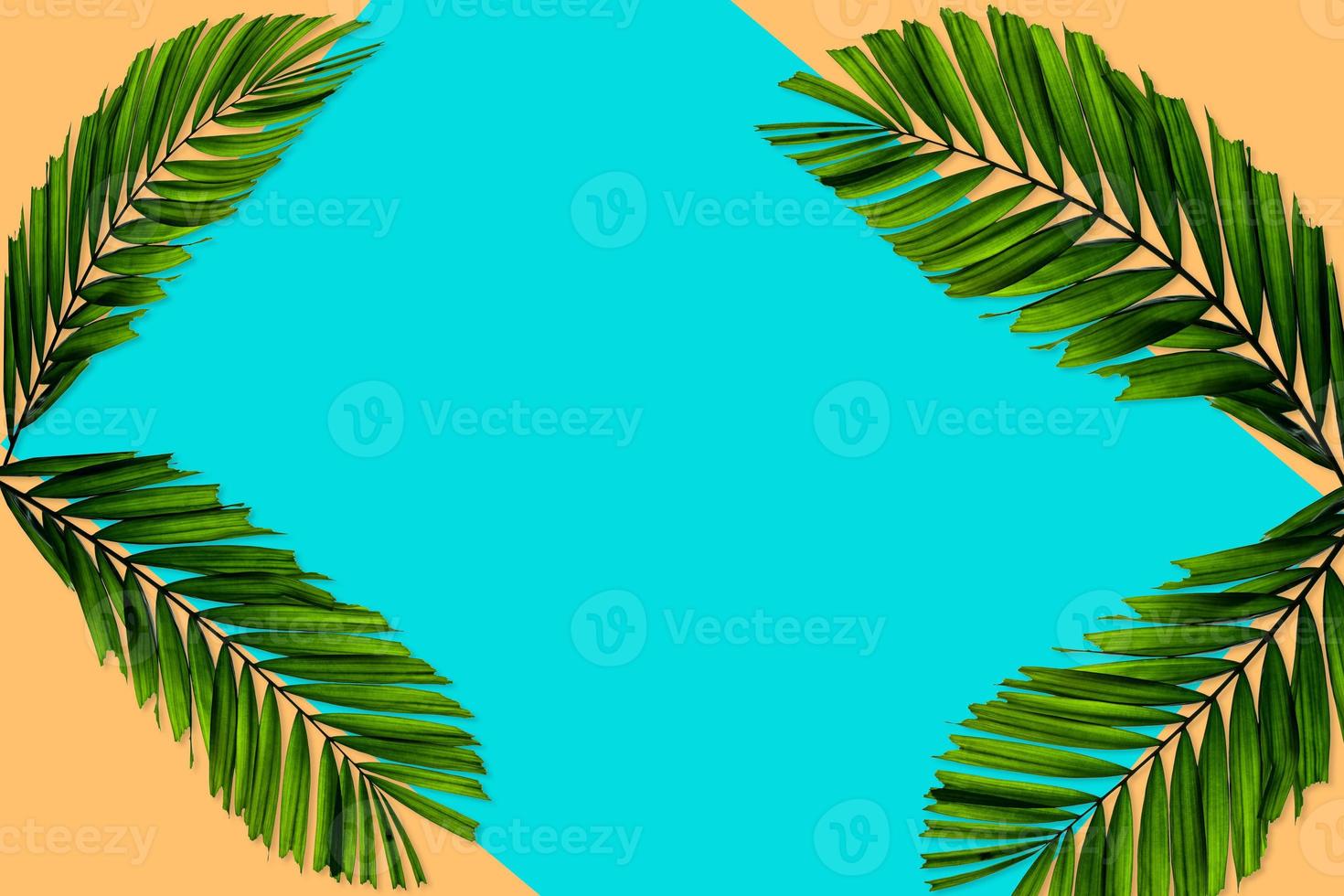 Green palm leaves pattern for nature concept,tropical leaf on orange and teal paper background photo