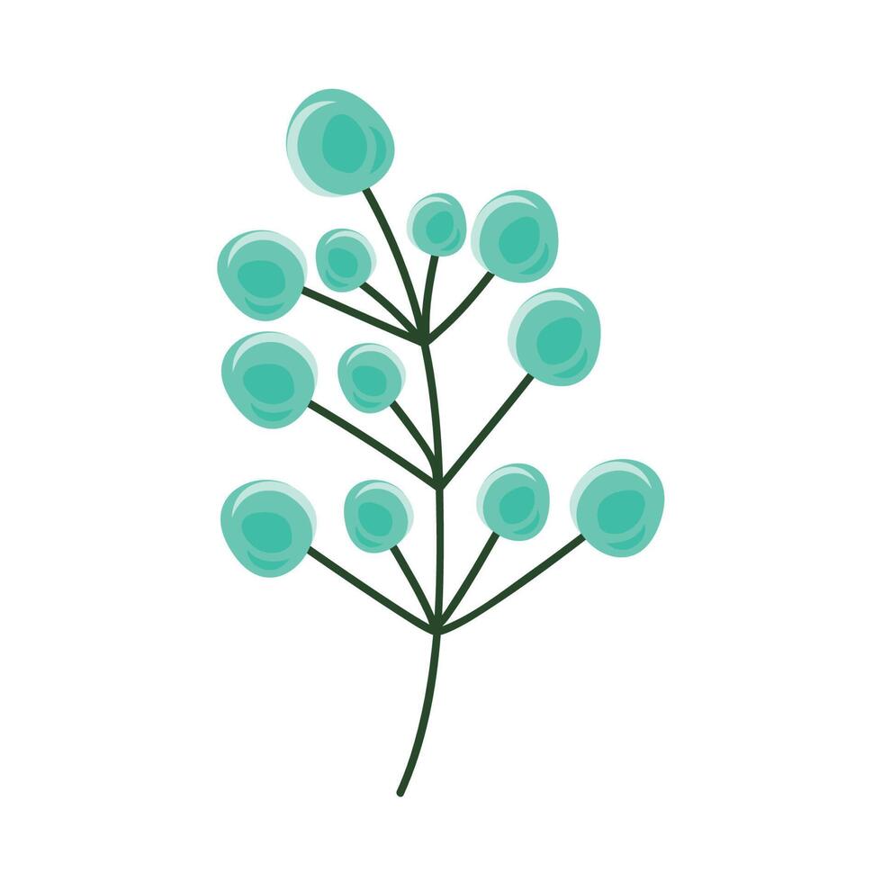 branch with green seeds vector