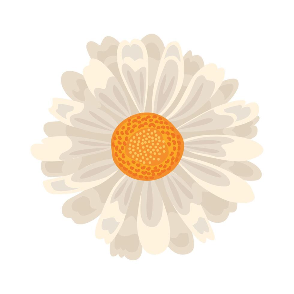 white beautiful flower vector