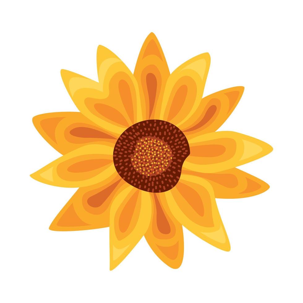 yellow sunflower exotic vector