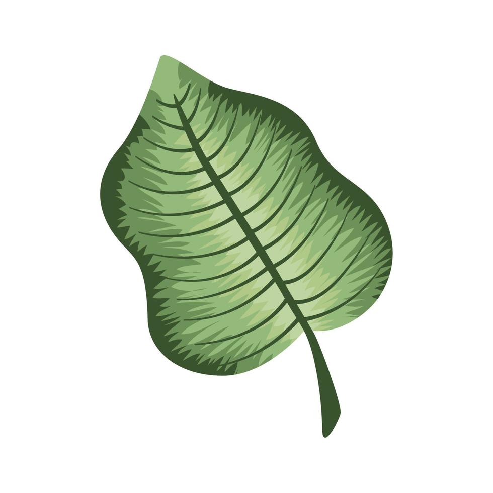 green realistic leaf plant vector