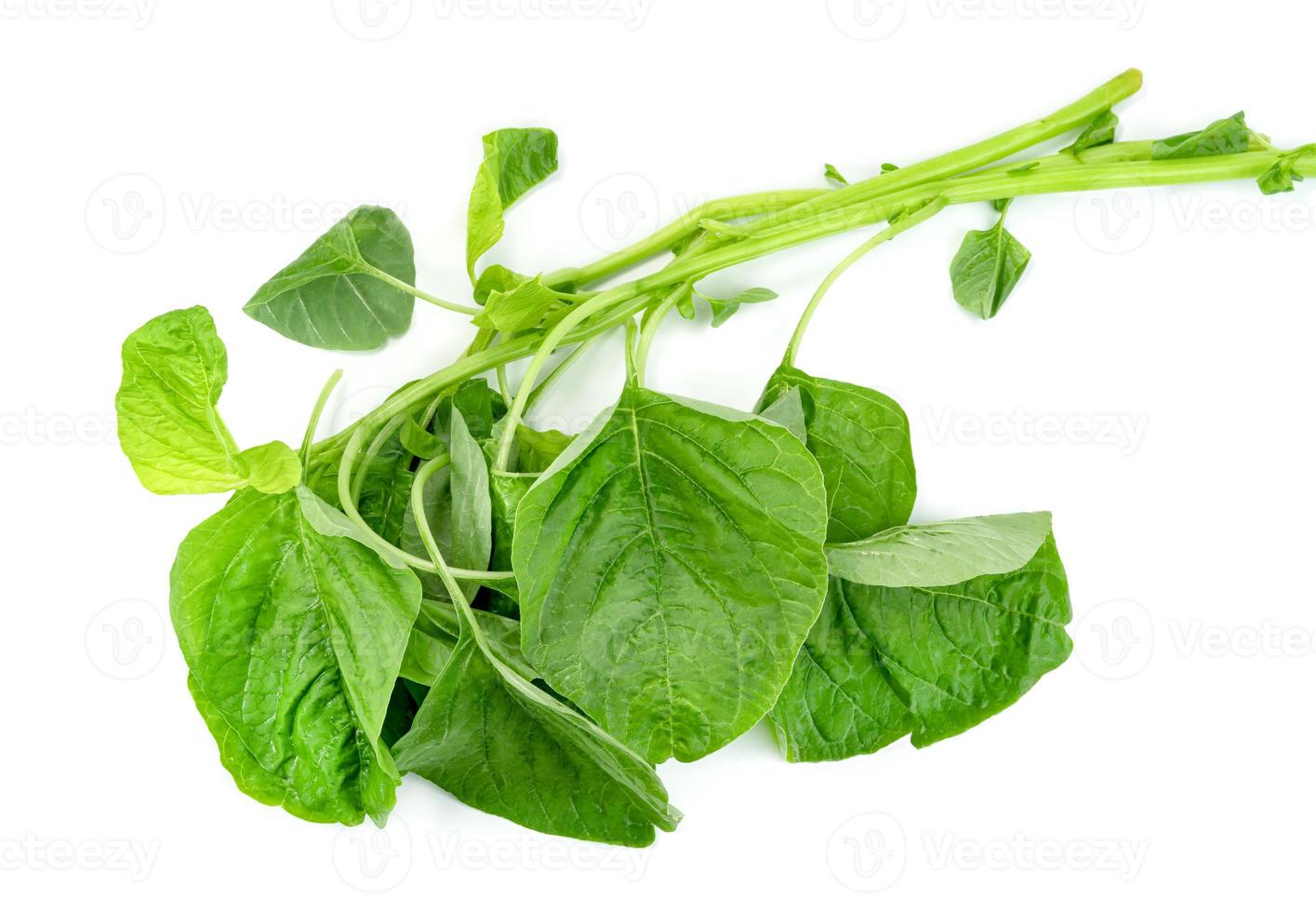 Green spinach leaf or Amaranthus viridis  in Thailand  isolated on white background ,Green leaves pattern photo