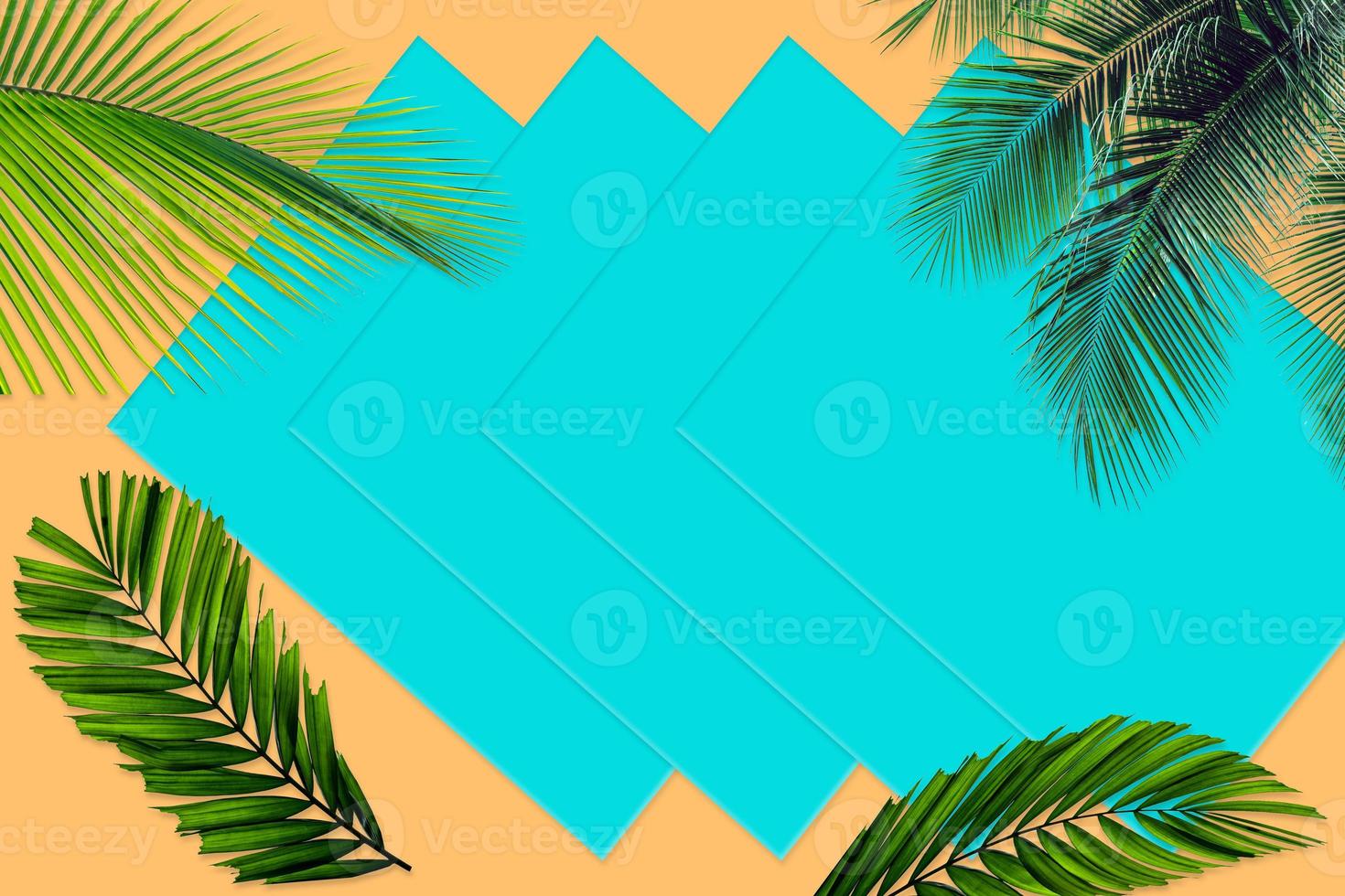 Green palm leaves pattern for nature concept,tropical leaf on orange and teal paper background photo