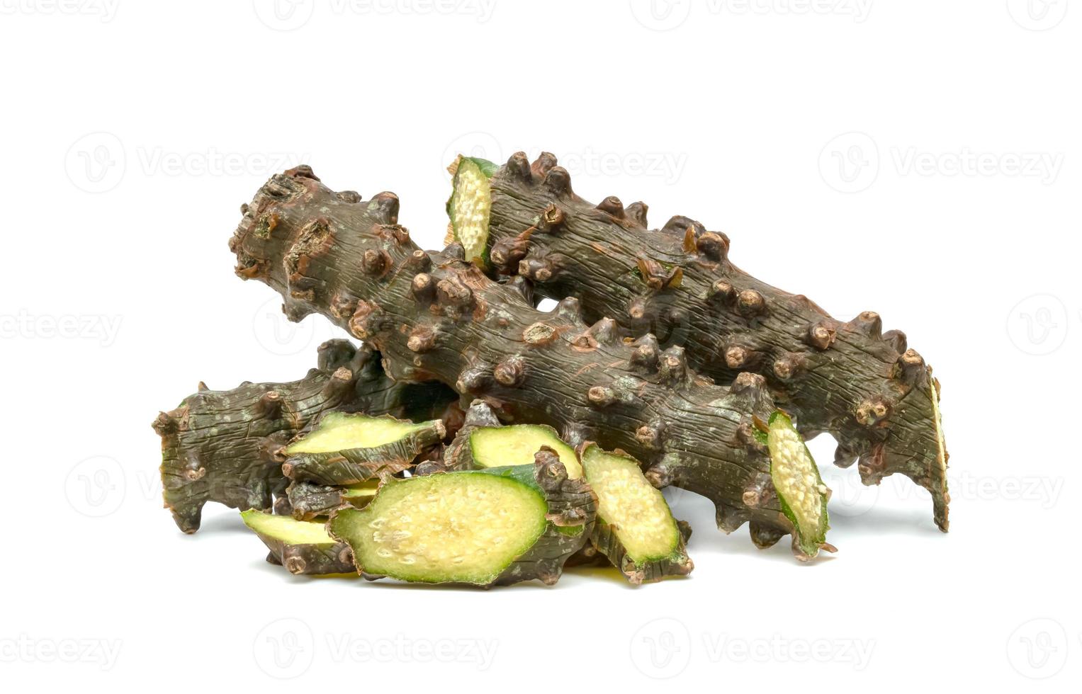 Tinospora cordifolia or Tinospora crispa isolated on white background photo