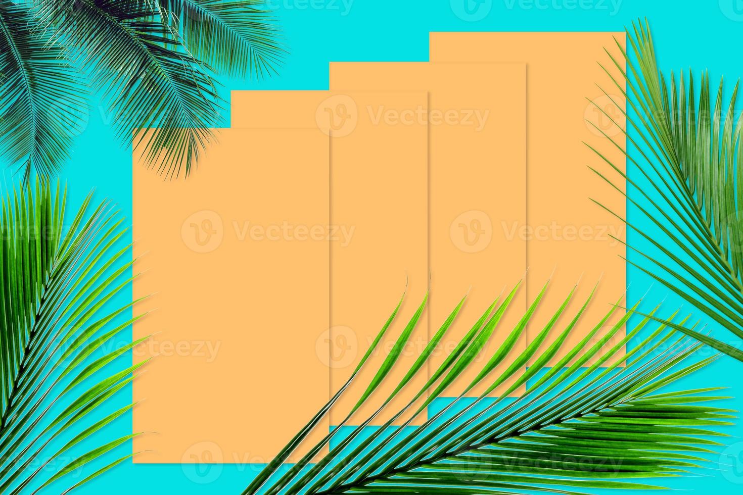 Green palm leaves pattern for nature concept,tropical leaf on orange and teal paper background photo