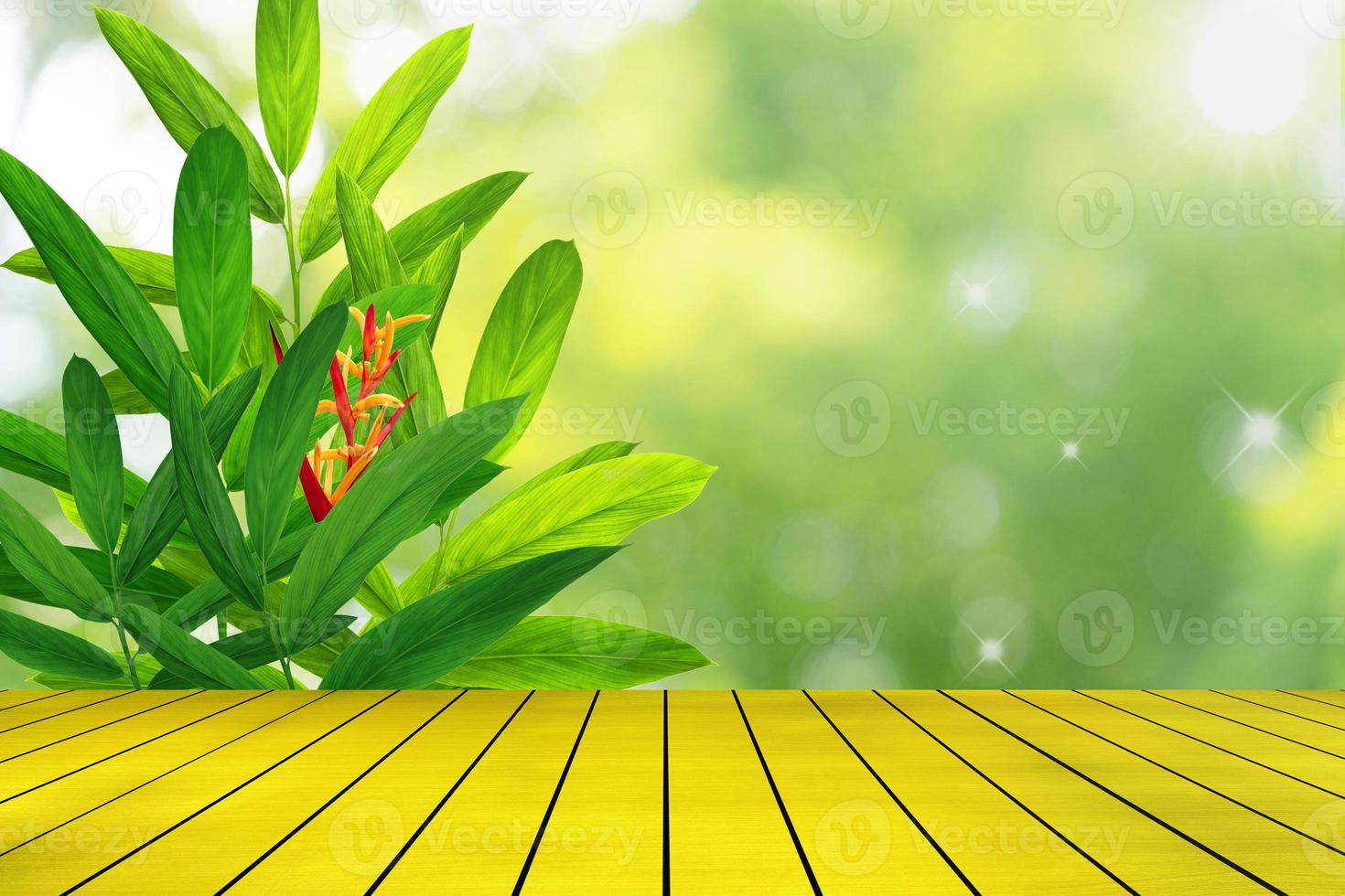 top golden metal desk with blur green leaves pattern for summer or spring season concept,leaf with natural bokeh textured background photo