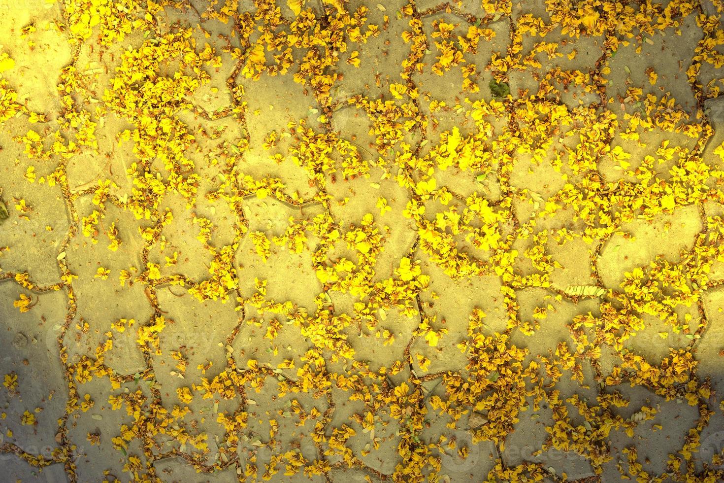 Shiny gold brick texture,abstract background,golden pattern photo