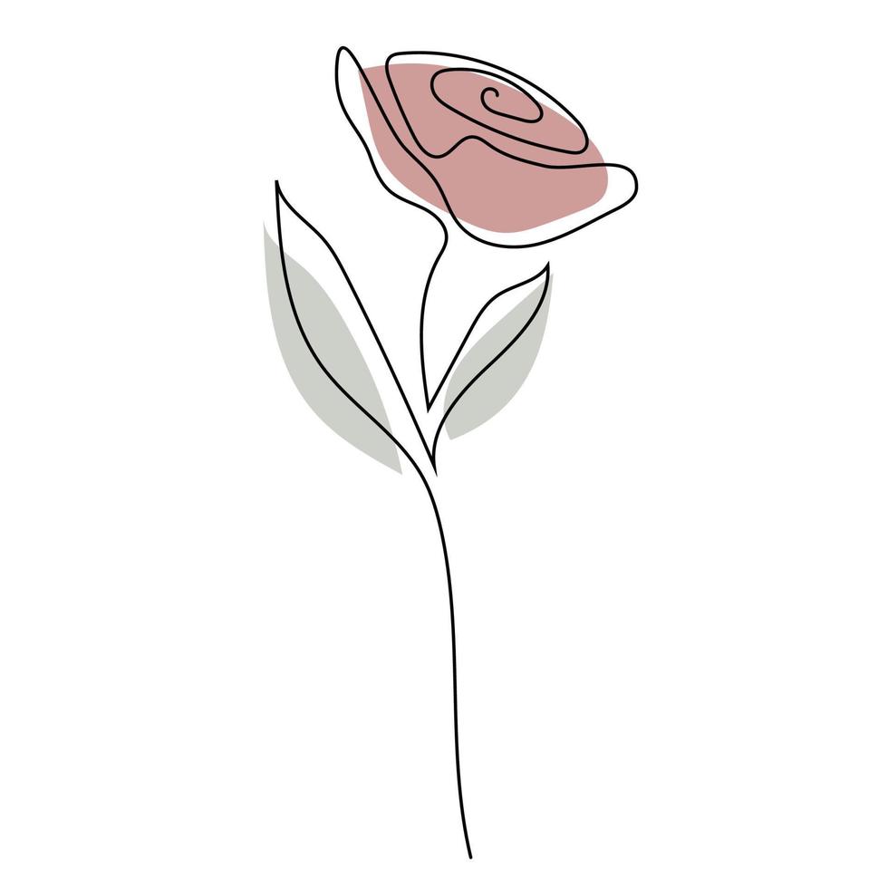 Rose flower line art. Contour drawing. Minimalism art. 11090466 Vector ...