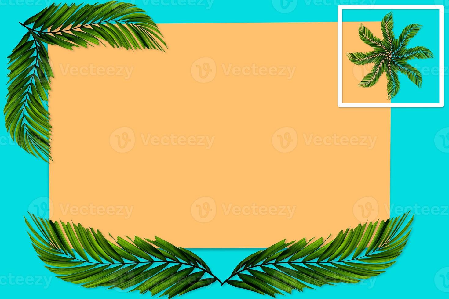 Green palm leaves pattern for nature concept,tropical leaf on orange and teal paper background photo
