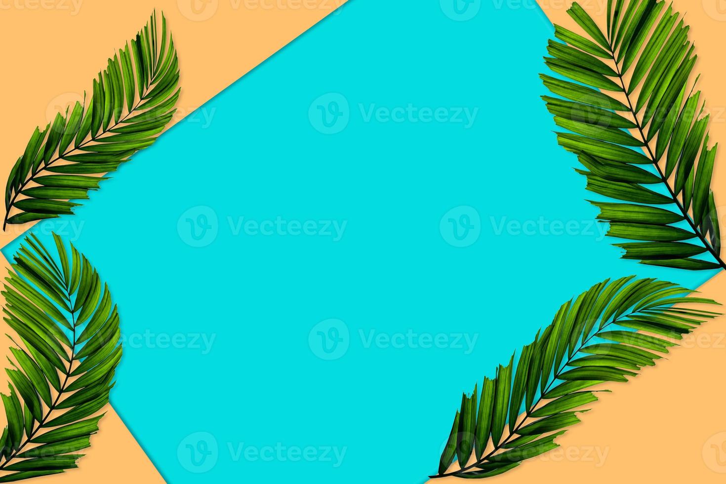 Green palm leaves pattern for nature concept,tropical leaf on orange and teal paper background photo