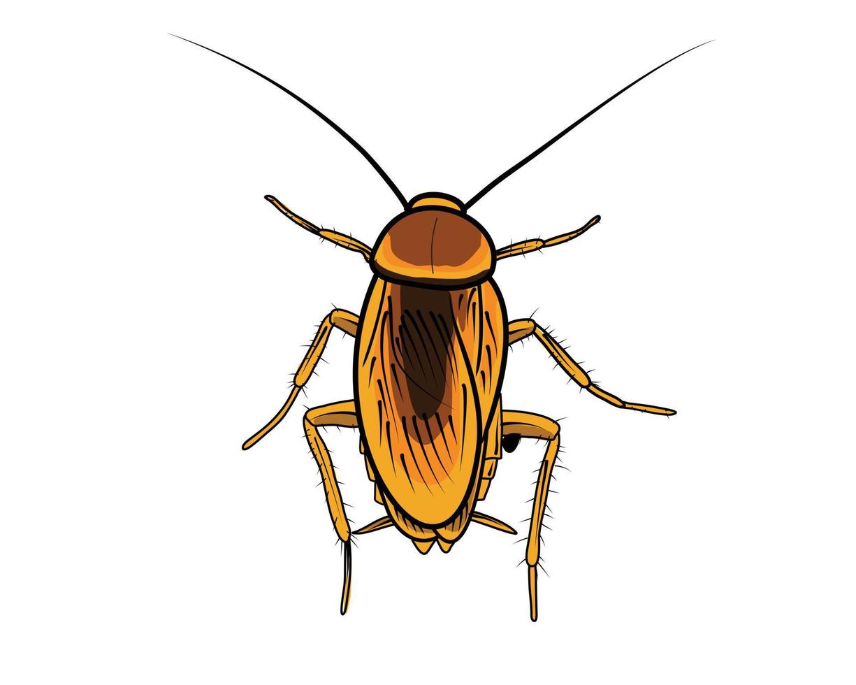 A cockroach in cartoon illustration design vector