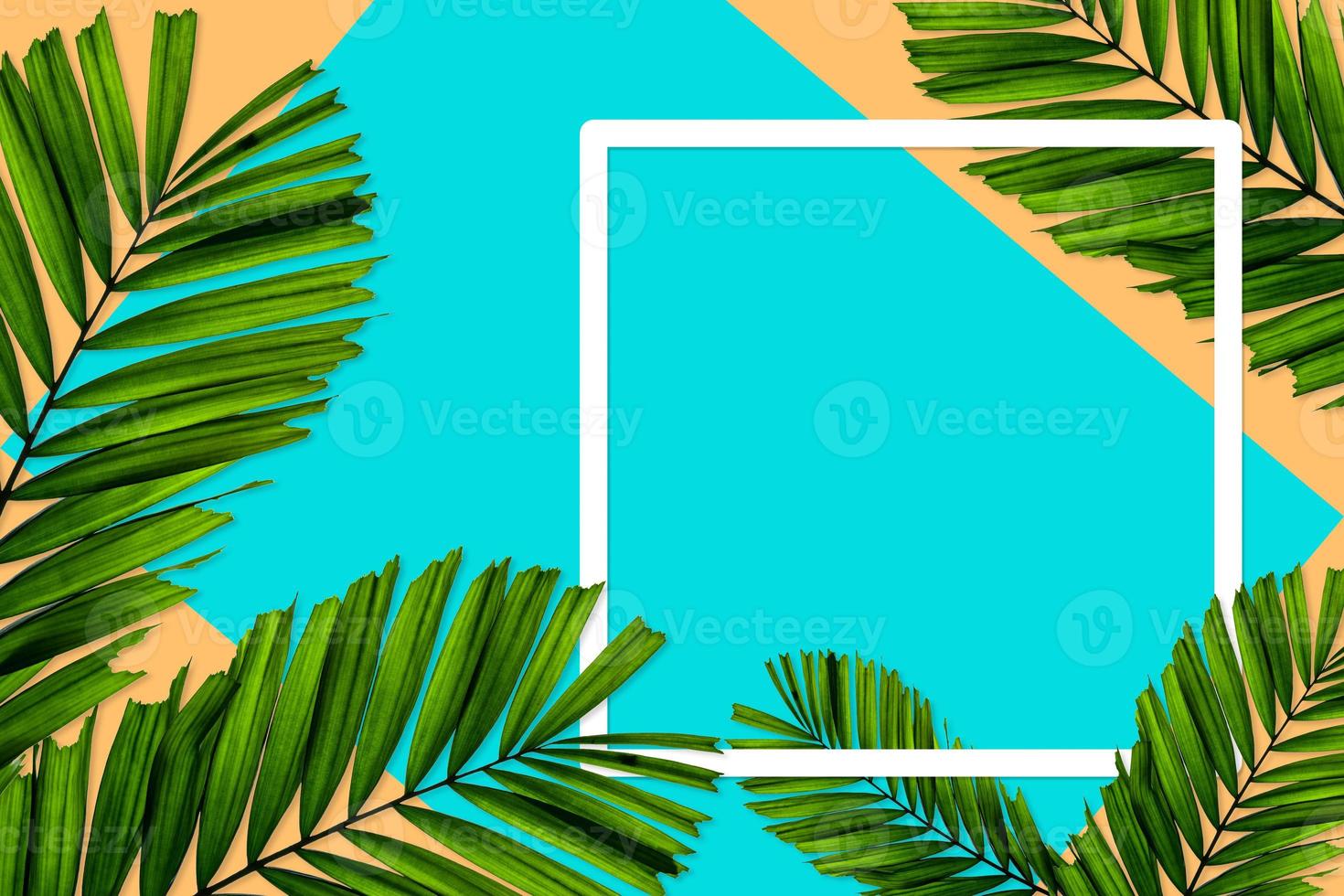 Green palm leaves pattern for nature concept,tropical leaf on orange and teal paper background photo