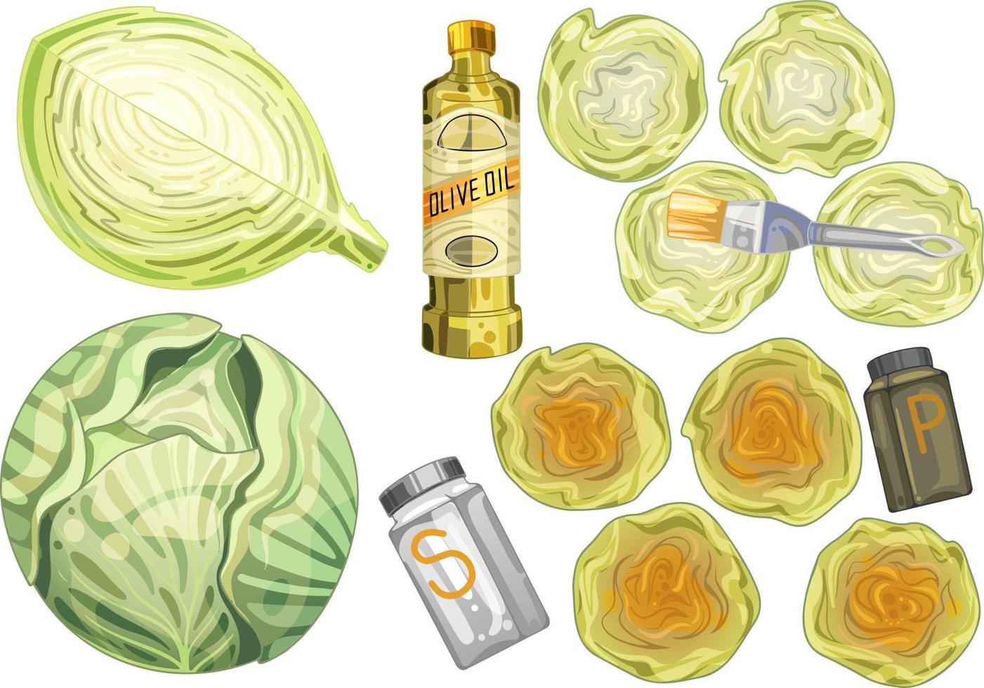 Cabbage in different angles.  Cabbage steak cooked with olive oil and spices. Drawn in a group and in a section, vector illustration