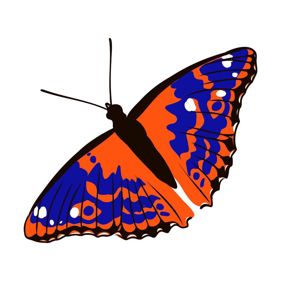 bosquejo del vector de la mariposa