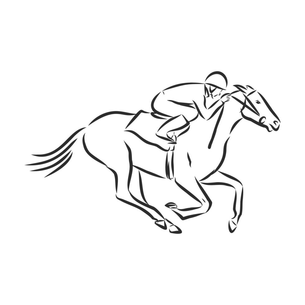 horse training vector sketch