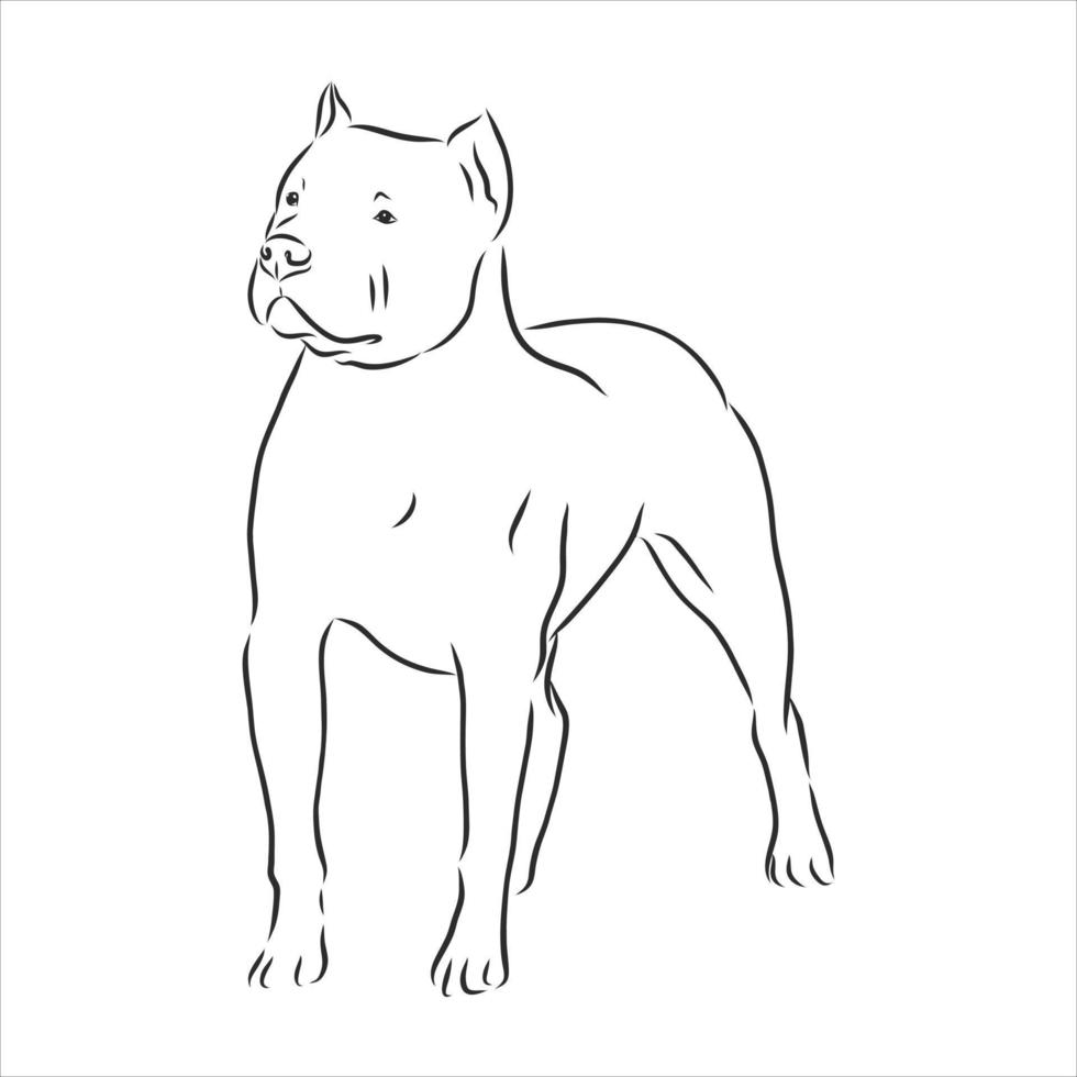 bosquejo del vector del perro
