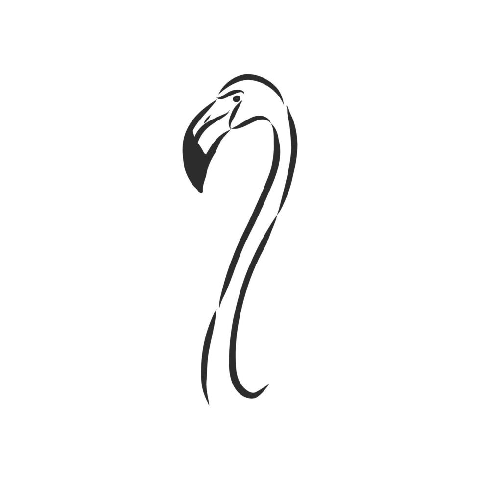 flamingo vector sketch