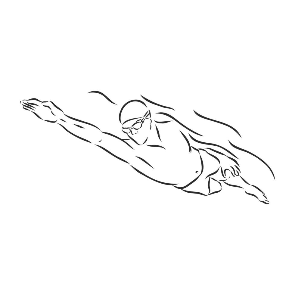 dibujo vectorial de nadador vector