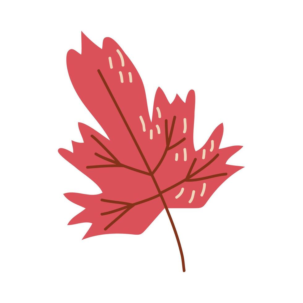 hoja de otoño de arce rojo vector