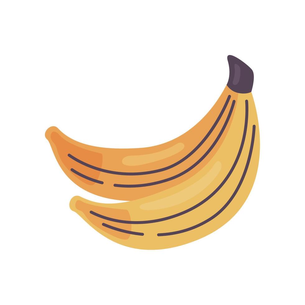 bananas cluster fruits vector