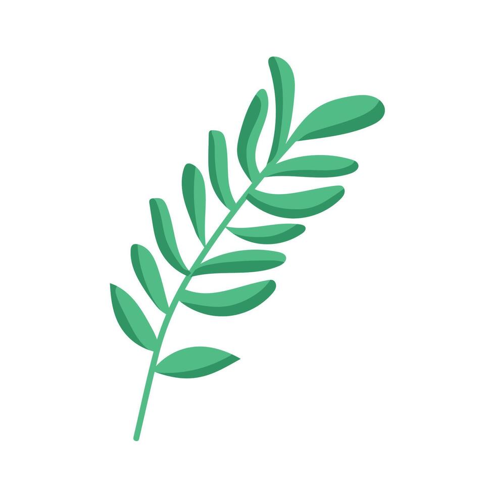 green branch with leafs vector