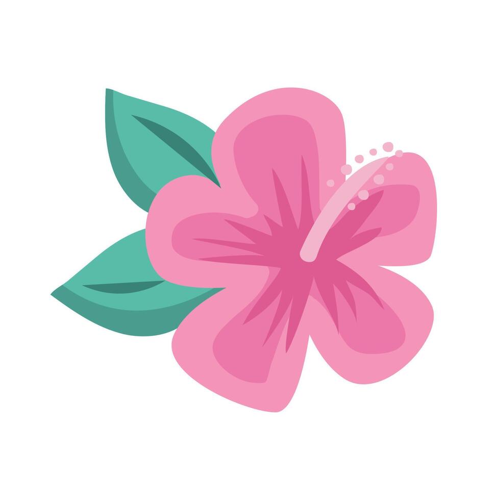 pink tropical flower vector