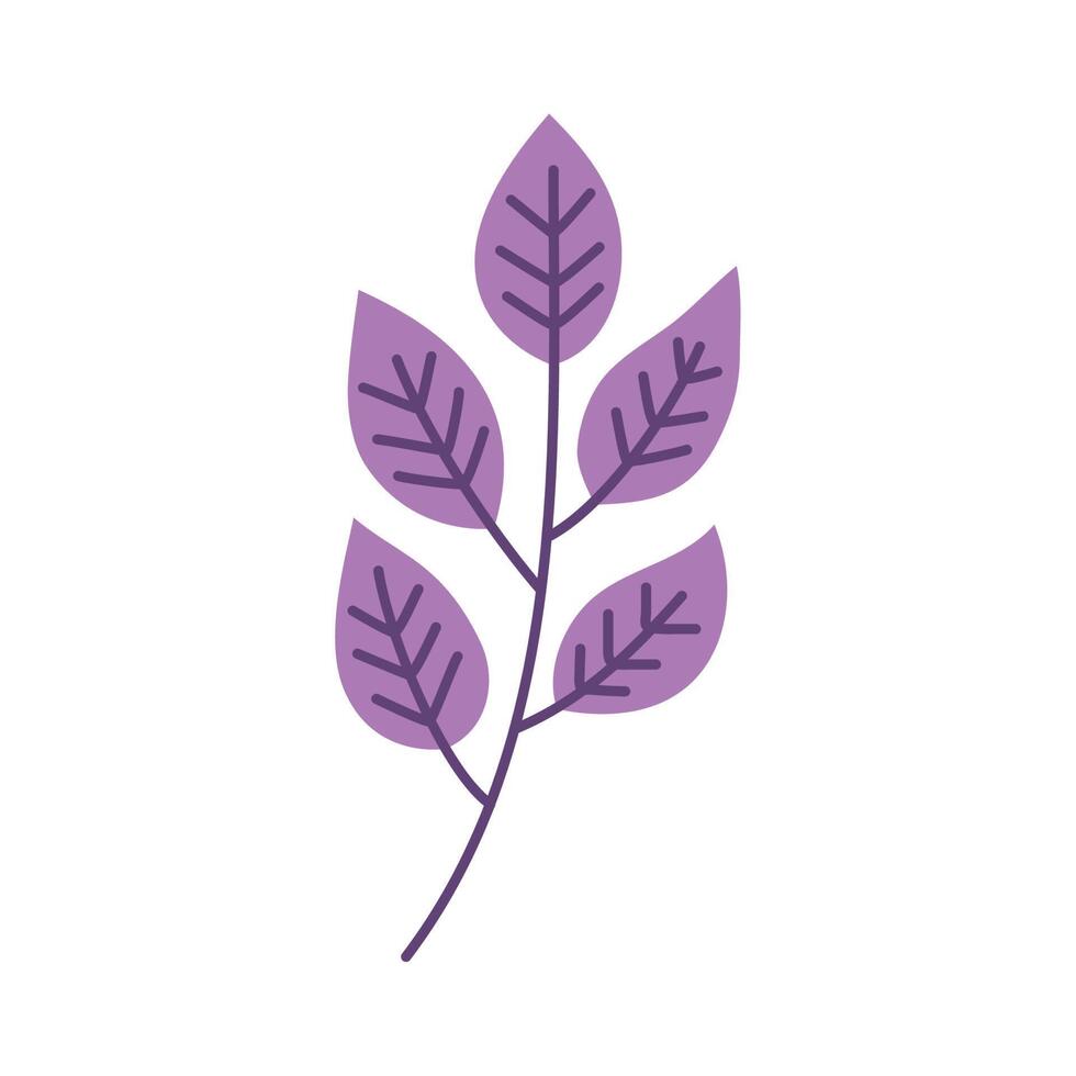 branch with purple leafs vector