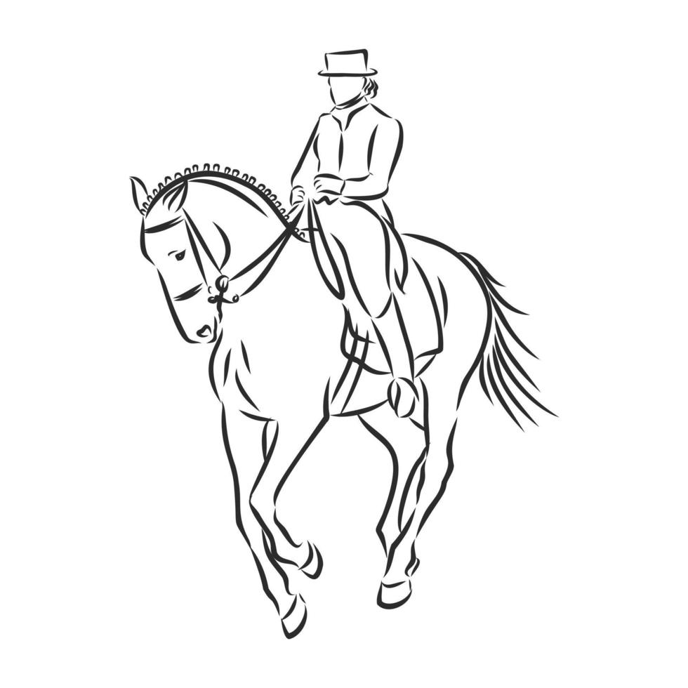 horse training vector sketch