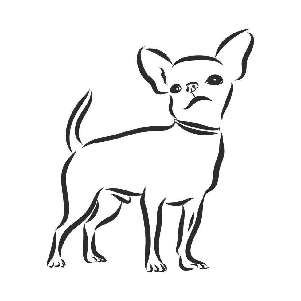 bosquejo del vector del perro