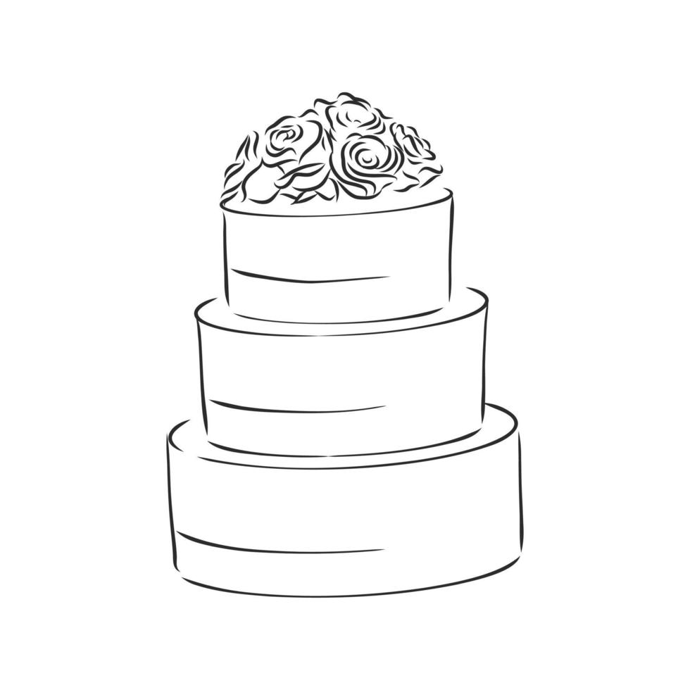 cake vector sketch