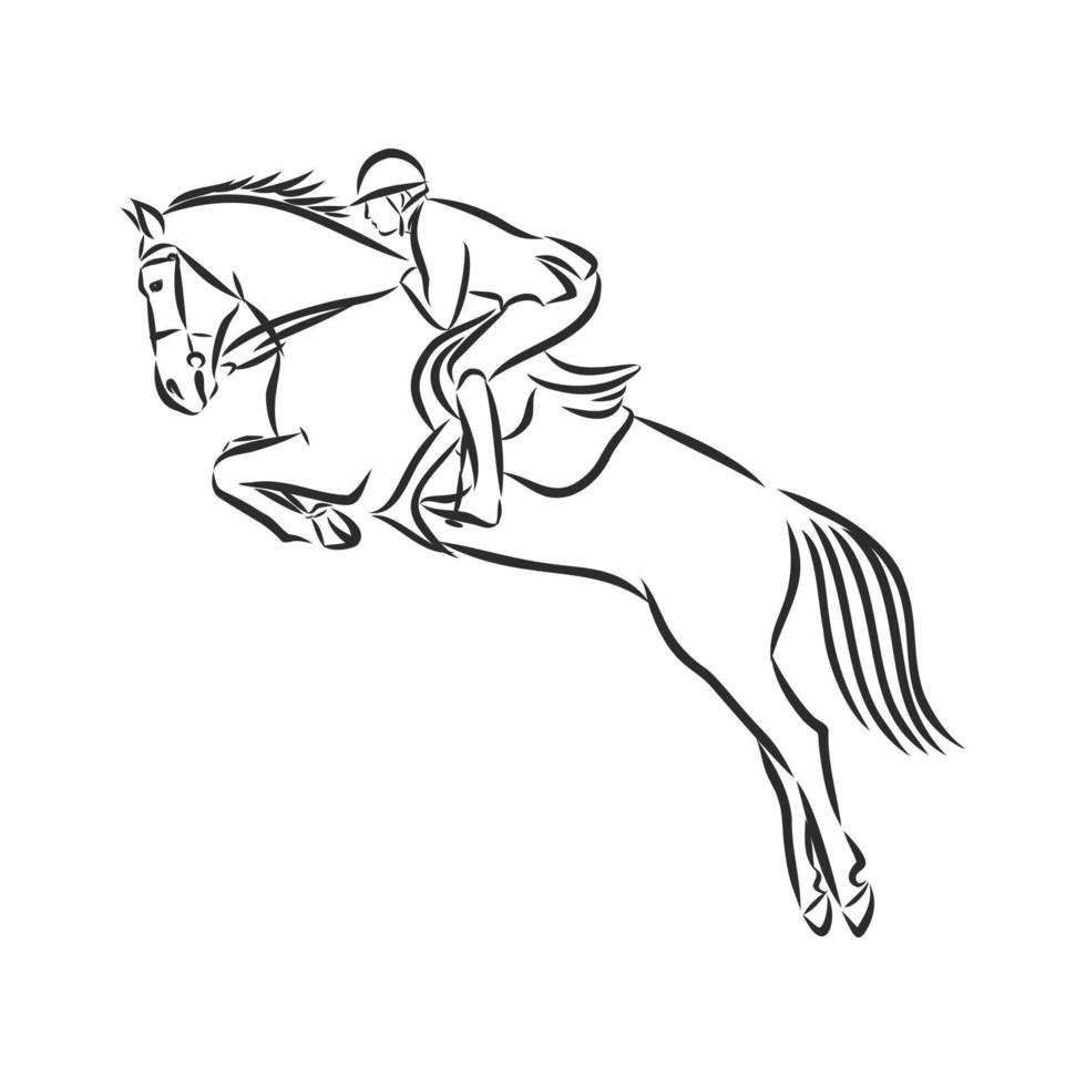 horse training vector sketch